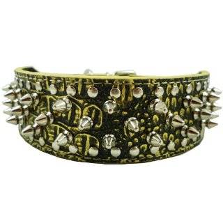   Croc Leather Spiked Dog Collar 2 Wide, 40 Large Spikes: Pet Supplies