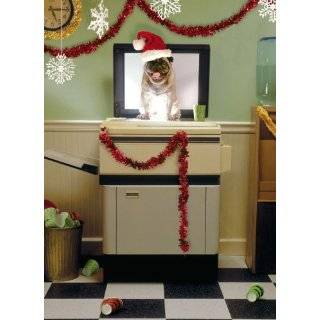  Pug Christmas Card The Yule Dog Home & Kitchen