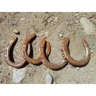   Iron Horseshoes for Decorating and Crafts 