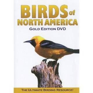  Birds of N. America DVD Version 4: Arts, Crafts & Sewing