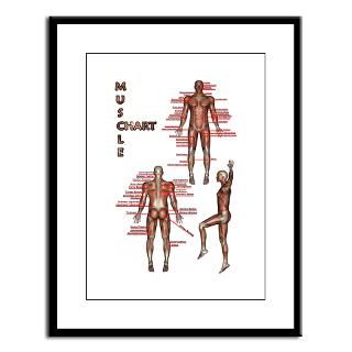 Muscle Chart Large Framed Print