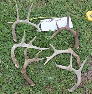 Deer hunting supplies checklist