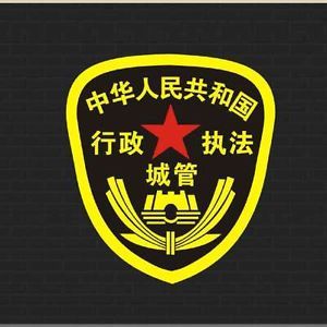 China City Police Car Door Decal
