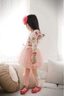 New Kids Toddlers Girls Lovely Flower Long Sleeves Tulle Tutu Dress Sz 2 7Year